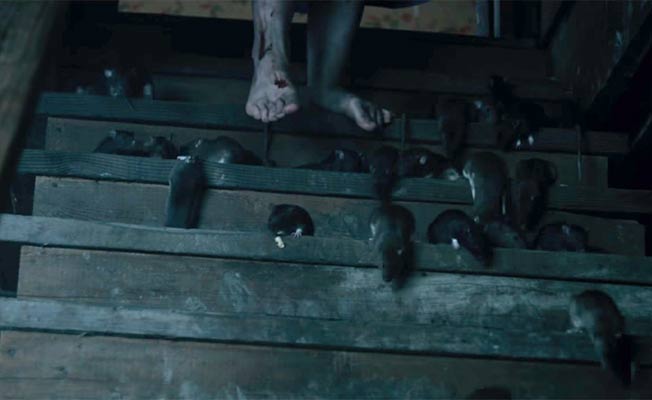 Check Out The Spine-Chilling Trailer Of Stephen King's ‘1922'